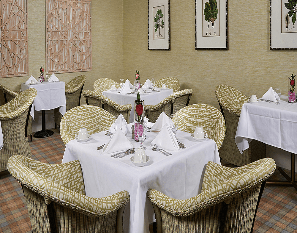 The Ivy at Golden Gate thumbnail 4