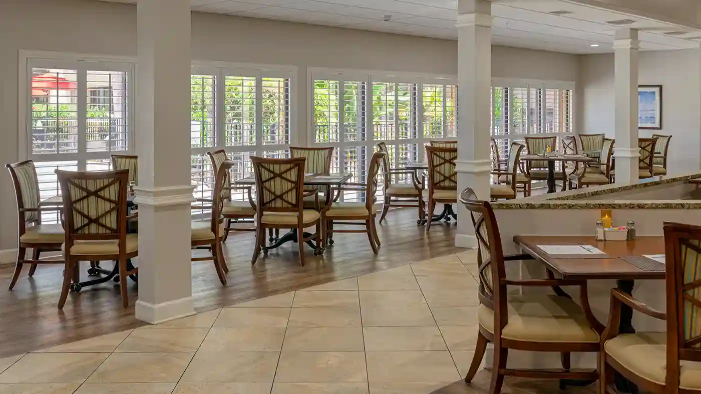 American House Sarasota thumbnail 7