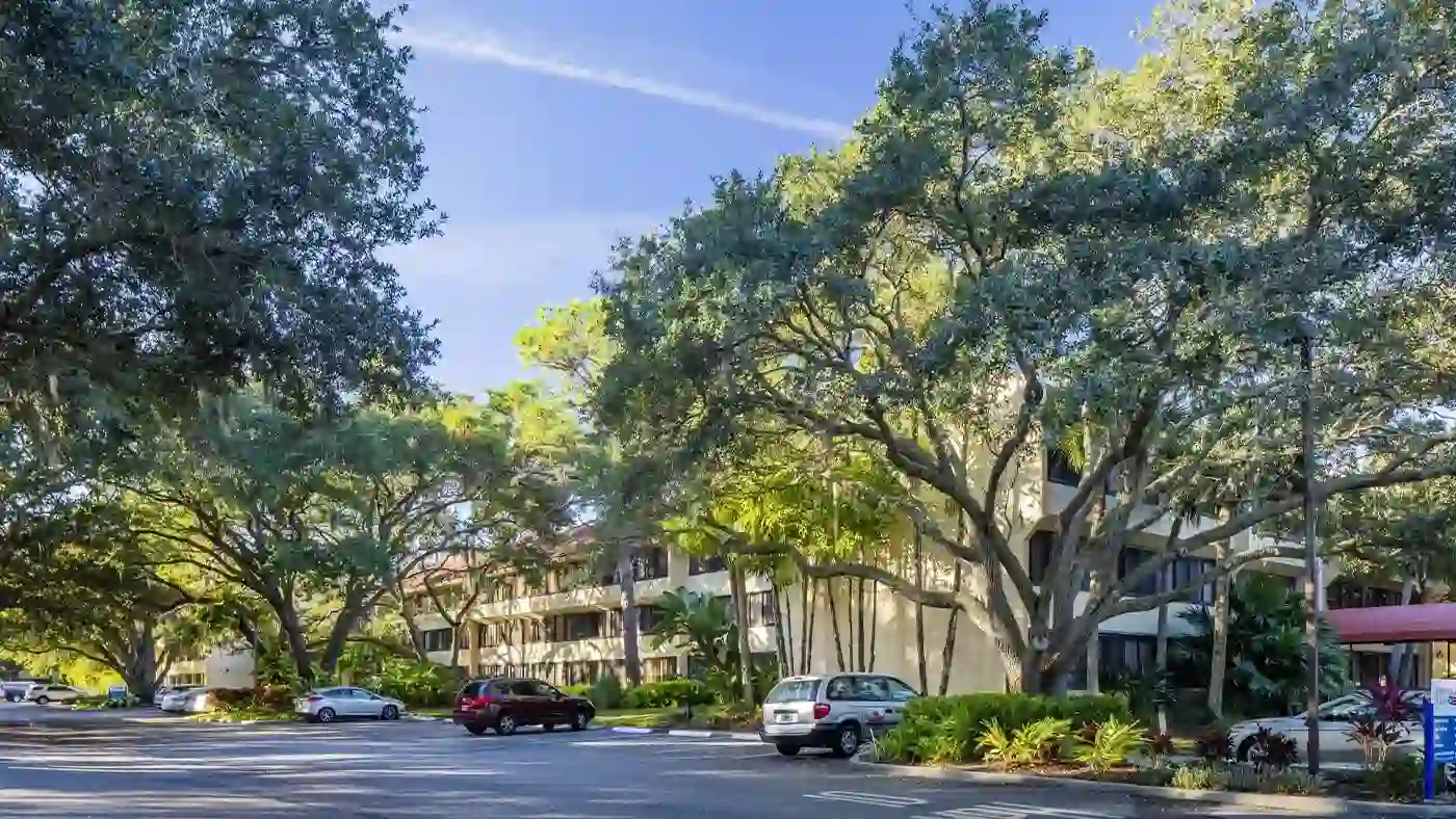 American House Sarasota thumbnail 5
