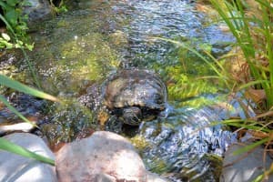 Foothills Rehabilitation Center thumbnail 6