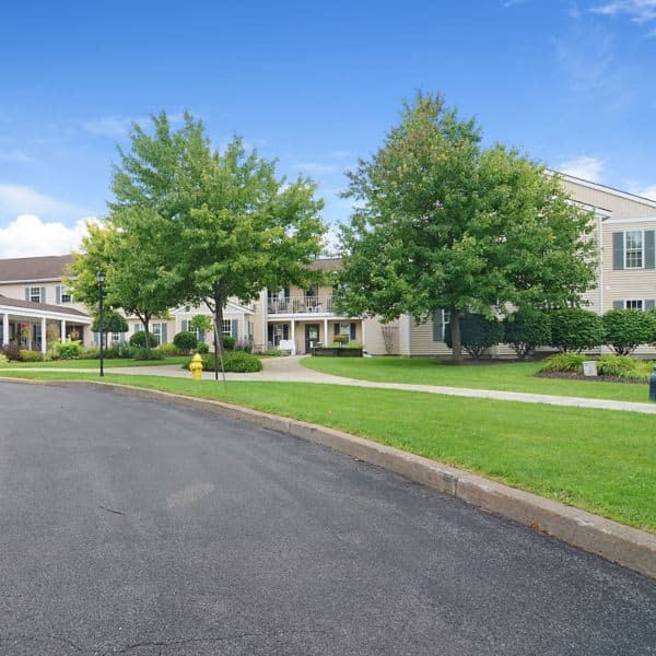 Brookdale Summerfield thumbnail 4