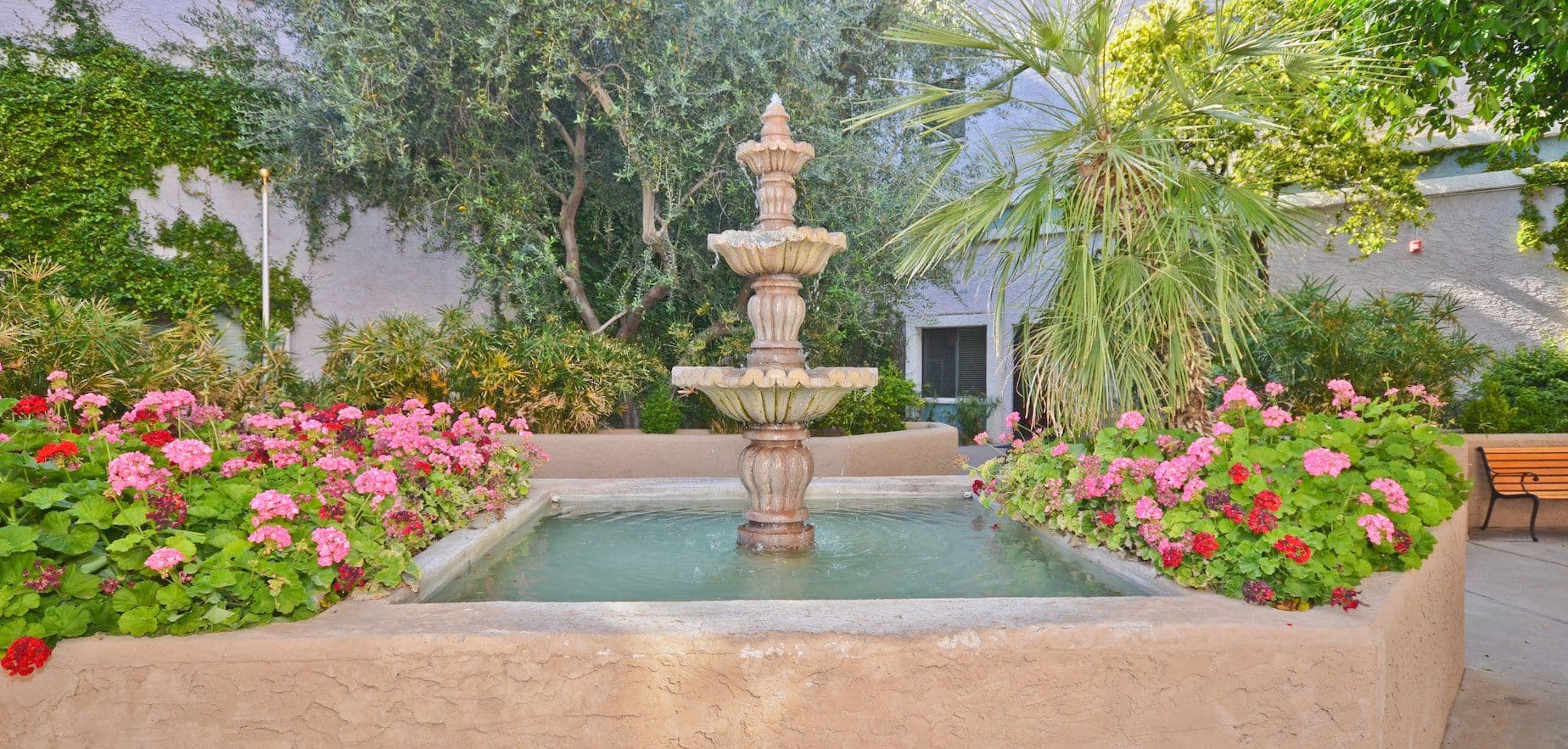 Plaza Healthcare thumbnail 3