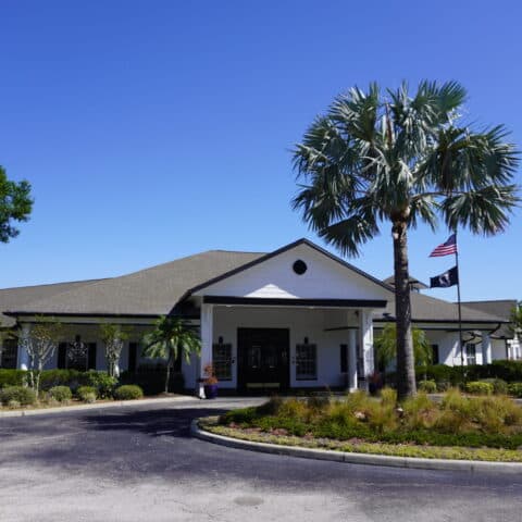 Sodalis Tampa thumbnail 4