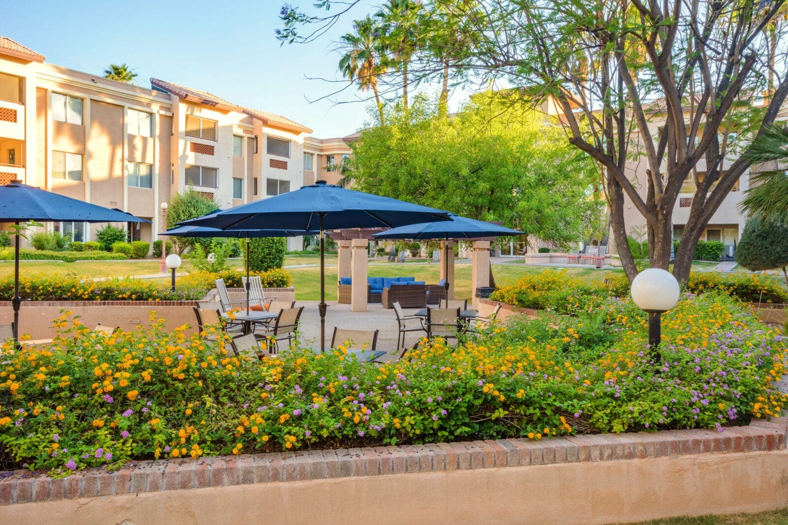 The Palms at Sun City thumbnail 6