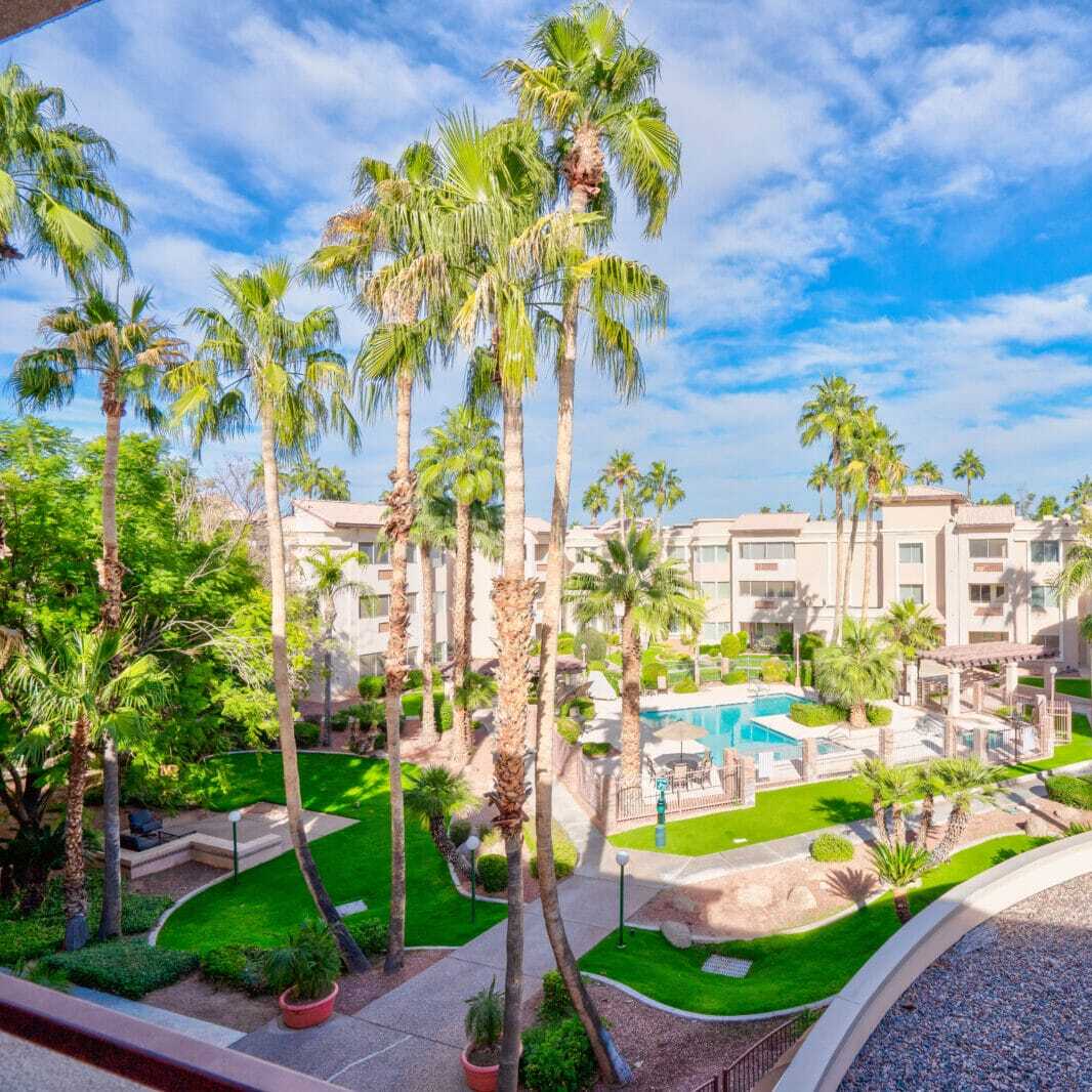 The Palms at Sun City thumbnail 3