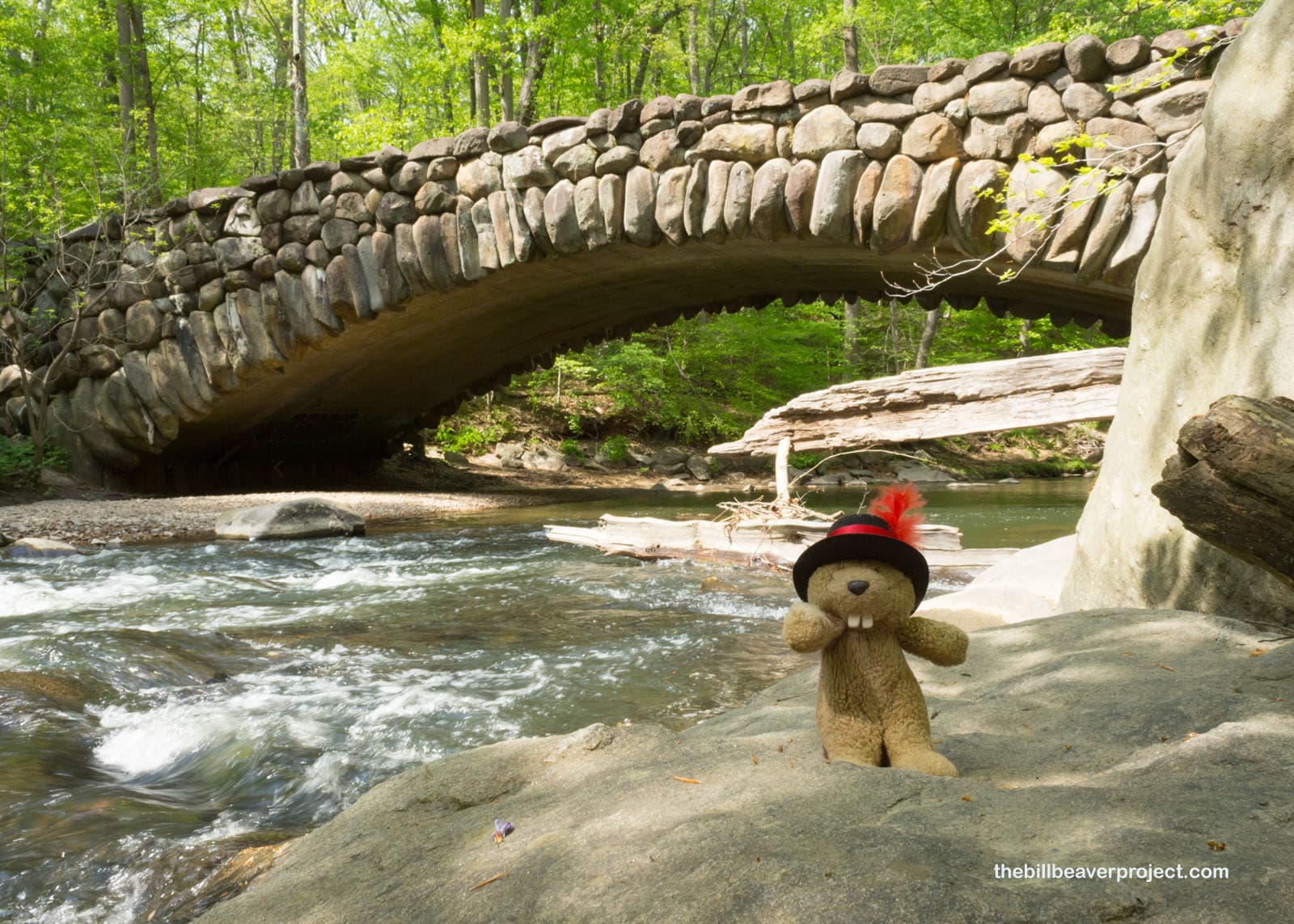 Bridge at Boulder thumbnail 5