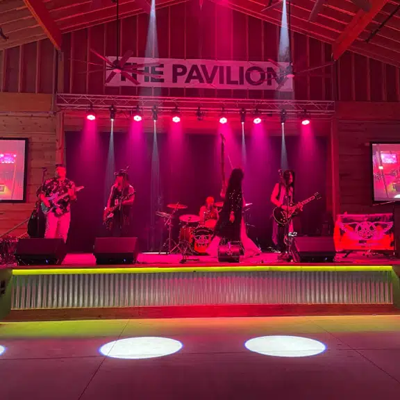 Pavilion Of Bridgeview, The thumbnail 2