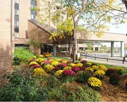 Jewish Home of Rochester